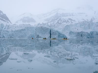 Kayak de mer sur le front des glaciers au Svalbard, Norvège