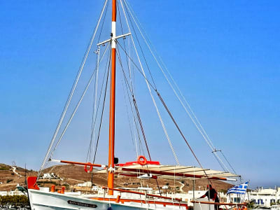 Excursion en bateau à Paros dans la baie de Parikia