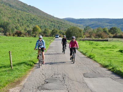 Ganztägige Mountainbiketour auf der Insel Šipan von Dubrovnik aus