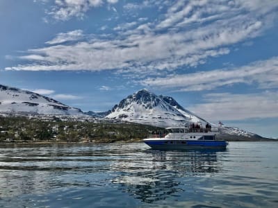 Croisière dans le fjord polaire et pêche depuis Tromsø, Norvège