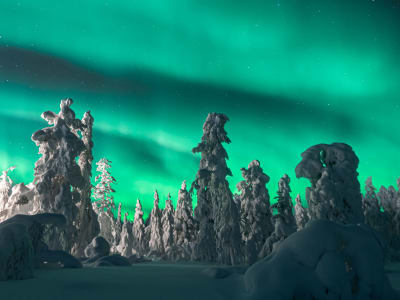 Excursion photographique des aurores boréales à partir de Kiruna