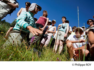 Una excursión para descubrir plantas de montaña insólitas