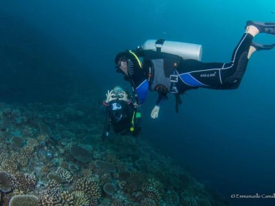 Erster Tauchgang von Taravao in Tahiti Iti