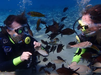 PADI Discover Scuba Diving Pakete in der Nähe von Protaras