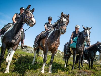 Overnight Horseback Riding Excursion in Skammestein near Jotunheimen