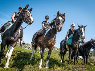 Excursión nocturna a caballo cerca de Beitostolen