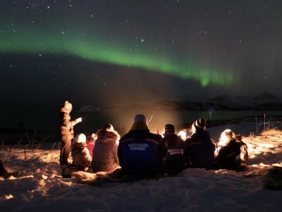 Excursion guidée multilingue et chasse aux aurores boréales en minibus à partir de Tromsø