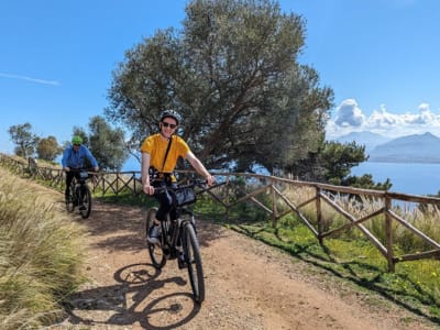 Excursion privée en VTT de Palerme à Monreale, Sicile