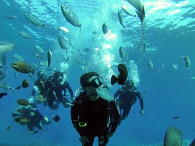 PADI Curso Avanzado de Buceo en Aguas Abiertas en Akrotiri, Santorini