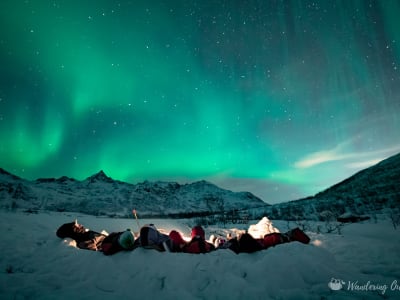 Chasse aux aurores boréales avec la science citoyenne de Tromsø