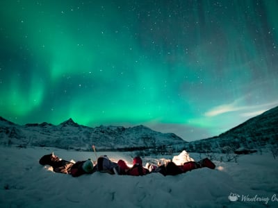 Nordlicht-Exkursion ab Tromsø