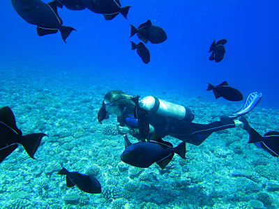 Buceo de exploración en Raiatea y Taha'a, Polinesia Francesa