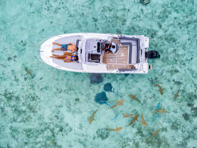 Excursion romantique en bateau à Bora Bora avec déjeuner sur un motu