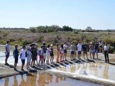 Guided Bike Ride with Tasting on the Ile de Ré from Saint-Martin-de-Ré