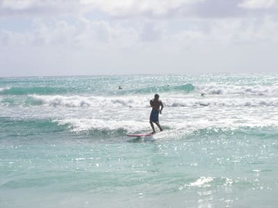 Surfing courses in Saint-François, Guadeloupe