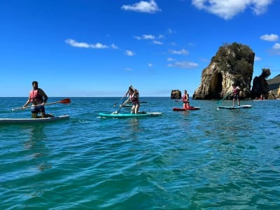 Experiencia SUP en el Parque Natural de Arrábida, cerca de Lisboa