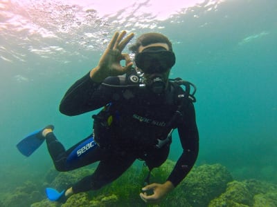First Scuba Dive in Nice, French Riviera