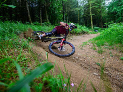 Downhill-Mountainbike-Parcours auf dem Pic du Jer, Lourdes