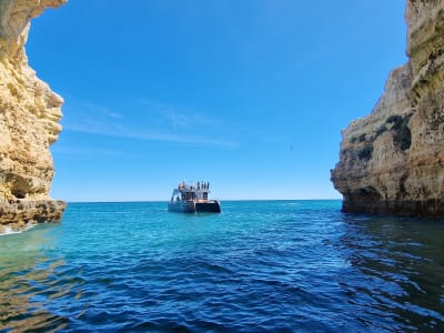 Paseo en barco a la Cueva de Benagil y a lo largo de la costa de Algarve desde el Puerto de Albufeira