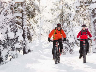 Excursion en fat bike électrique dans le parc national de Pyhä-Luosto au départ de Pyhä