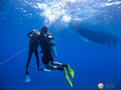 Découverte de la plongée dans la baie de Tamarin à l'Île Maurice