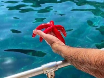 Snorkelling Boat Tour from Giardini Naxos, Taormina