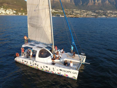 Croisière dans la baie de la Table depuis le port Victoria & Alfred Waterfront, Le Cap