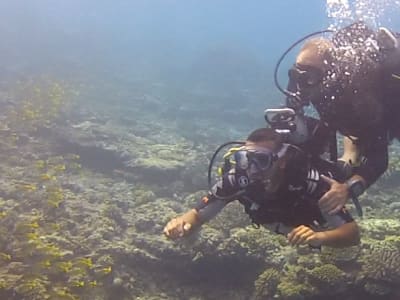 Discover scuba diving in Saint-Gilles, Reunion Island