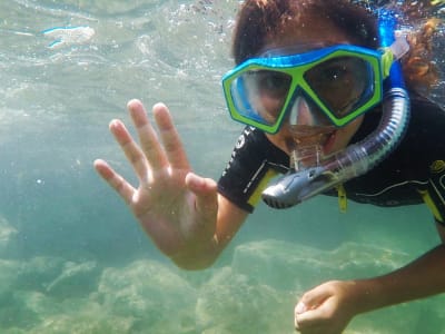 Snorkel en la bahía de Cannes y el Esterel