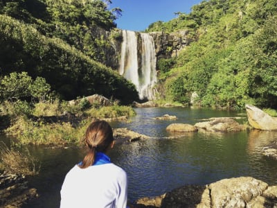 Wandern an den Tamarin-Fällen auf Mauritius