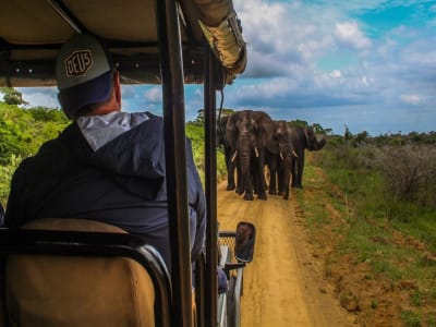 Cape Vidal Safari Strand und Busch