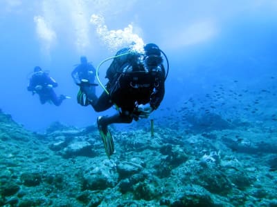 Descubre el buceo en Alonissos