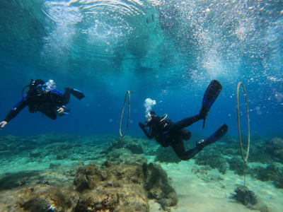 Descubre el buceo desde la playa de Agia Anna en Naxos