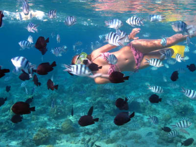 Descubra los mejores lugares para hacer snorkel en Tahití