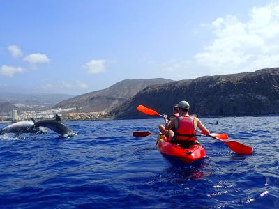 Kajakfahrt und Schnorchelausflug mit Delfinen und Schildkröten in der Bucht von Los Cristianos