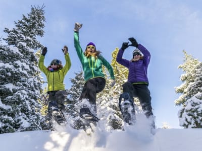 Snowshoeing in Lapland near Rovaniemi