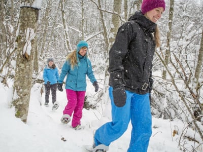 Excursion en raquettes dans le parc national de la Jacques-Cartier depuis Québec