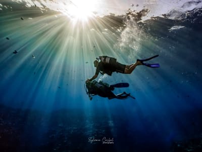 First scuba diving experience in Saint-Gilles, Reunion Island