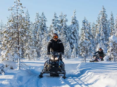 Excursión en moto de nieve por Laponia