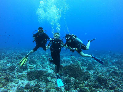 First Dive in Tikehau, French Polynesia