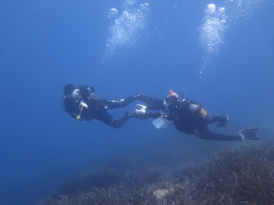 Curso de buceo PADI Open Water en Amorgos