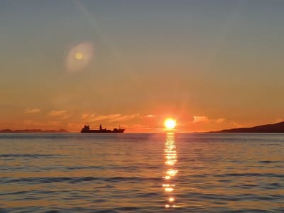 Mitternachtssonnen-Kreuzfahrt ab Tromsø, Norwegen