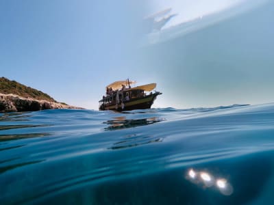 Excursión de medio día en barco a la isla Ceja desde Medulin