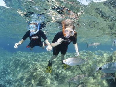 Excursion snorkeling à Calvi, Corse