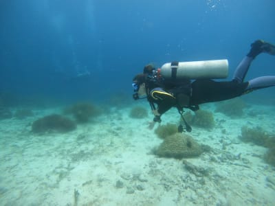 Curso de Buceo Open Water en Tarifa, Cádiz