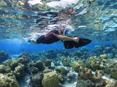 Excursión de snorkel en moto de mar en Moorea