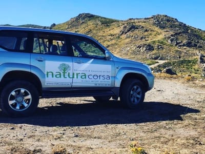 Excursión en 4x4 a U Giussani y Saleccia desde Calvi, Córcega