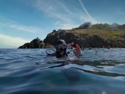 Curso de buceo en aguas abiertas en el Parque Marino del Golfo de León, Argelès-Sur-Mer