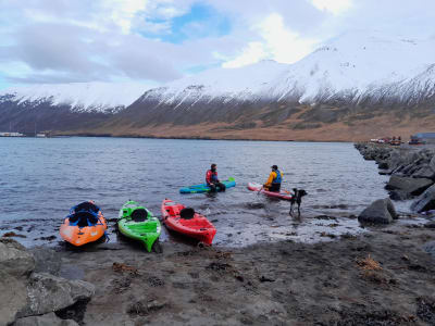 Paddleboarding guiado al atardecer en Siglufjörður, en la península de Troll