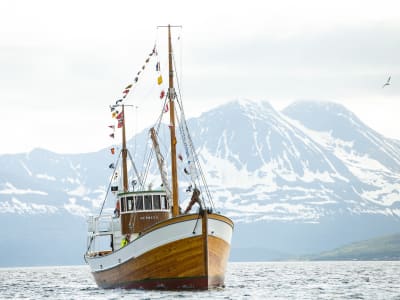 Geschichts- und Fotokreuzfahrt an Bord eines historischen Schiffes ab Tromsø